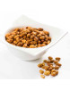 Noix de soja Bio grillées 